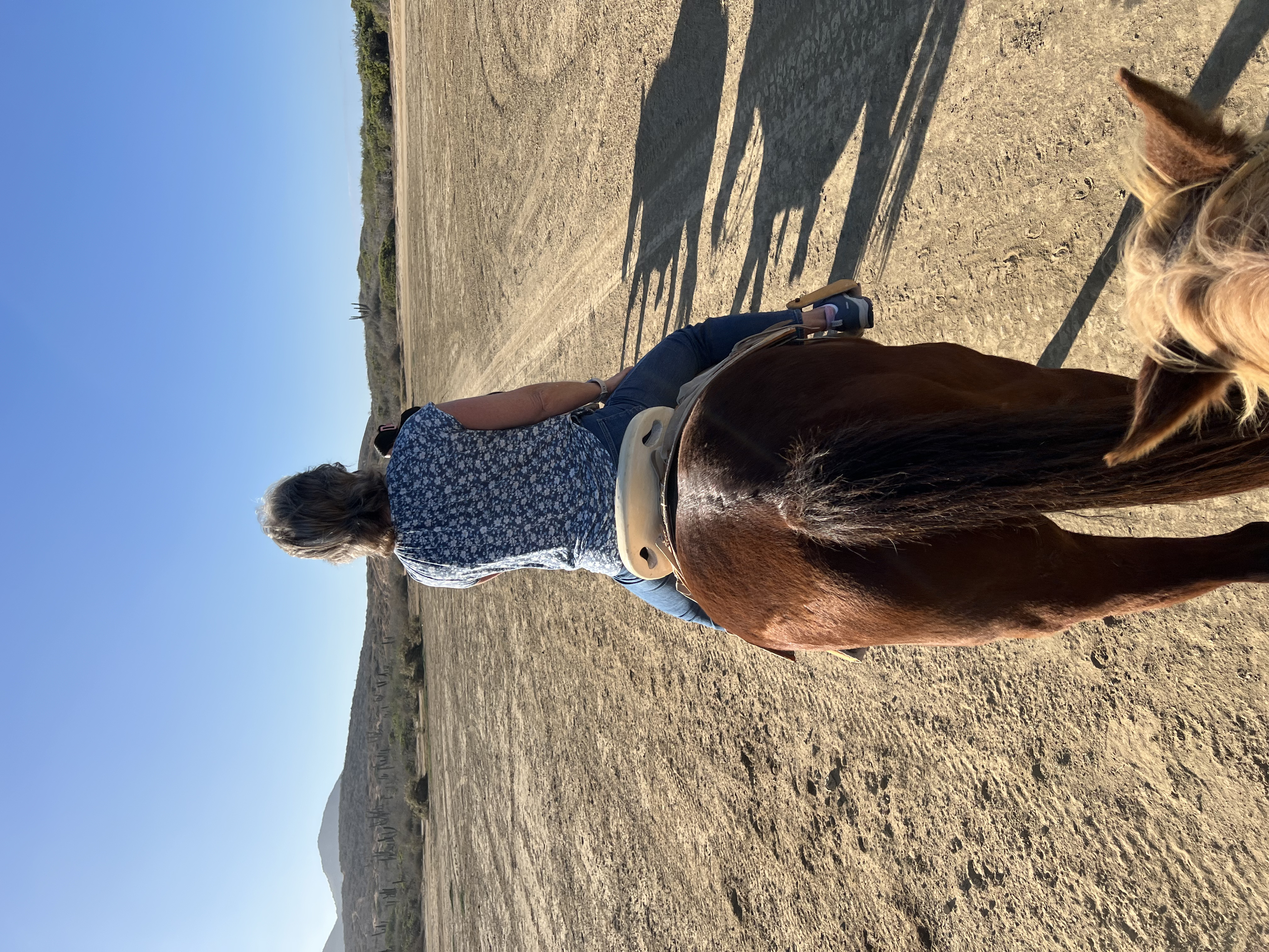 ./2024/13 - Cabo/IMG_4375.jpg